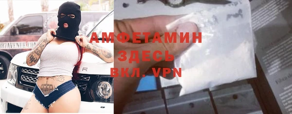 спиды Богородицк
