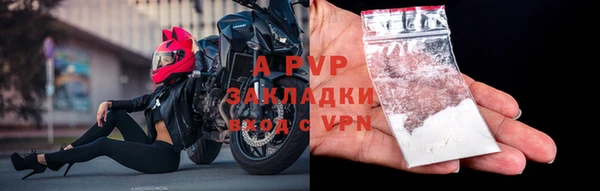 спиды Богородицк