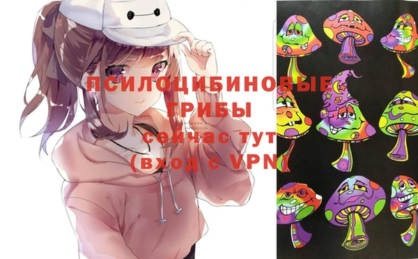 эйфоретик Богородск