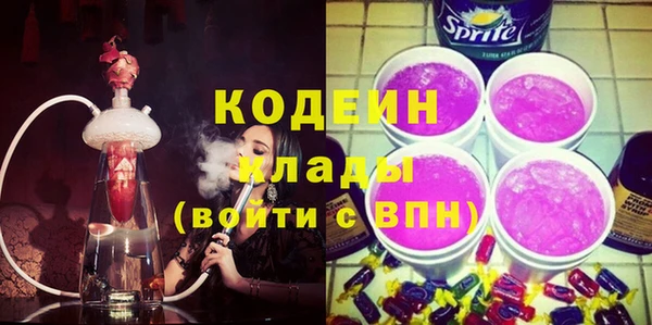 спиды Богородицк
