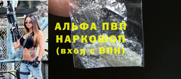 спиды Богородицк