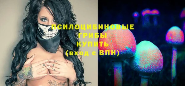 спиды Богородицк