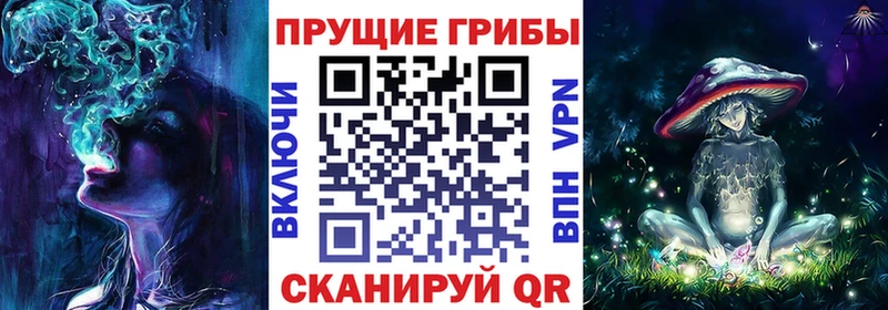 Галлюциногенные грибы Psilocybine cubensis Южа